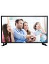 TV DENVER LED-2467 - 23.6'/59.9CM - FULL HD - DVB-T2 - 2000:1 - 200CD/M2 - 5MS - HDMI - SCART - USB - MODO HOTEL